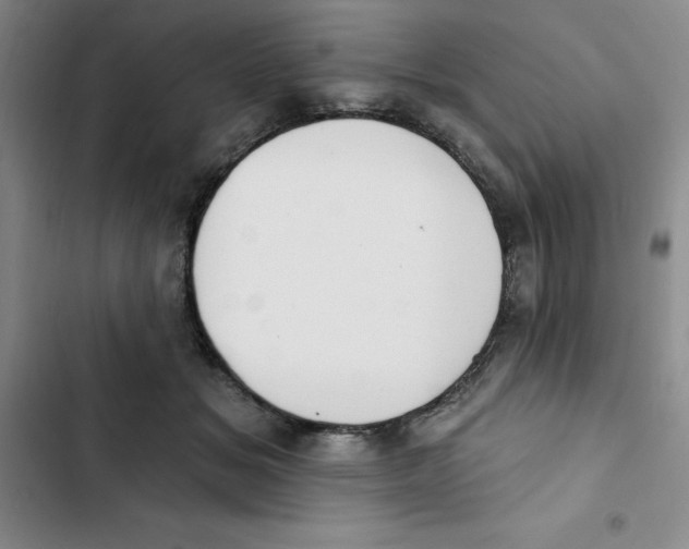 X0000102810509200809150955