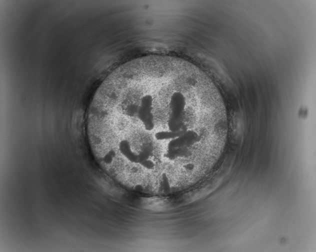 X0000102810511200809150955