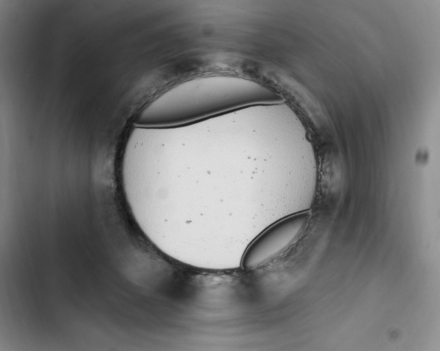 X0000102810512200809150955