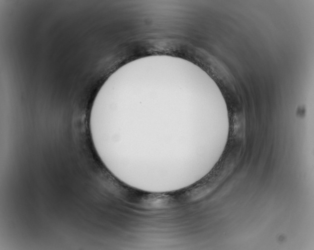 X0000102810514200809150955