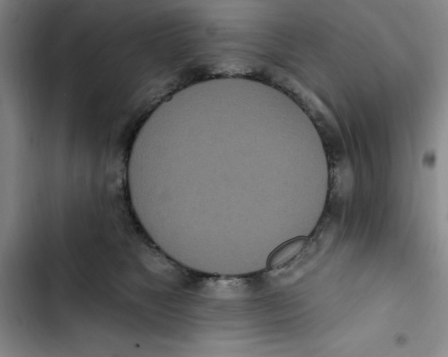 X0000102810517200809150955