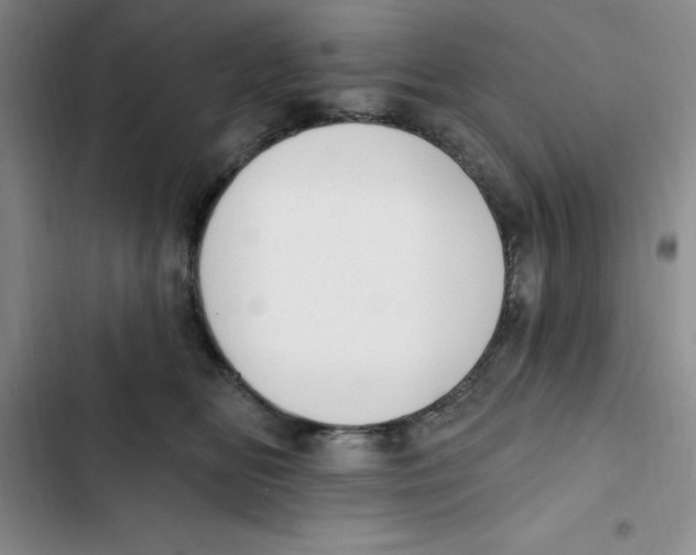 X0000102810518200809150955