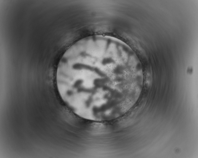 X0000102810519200809150955