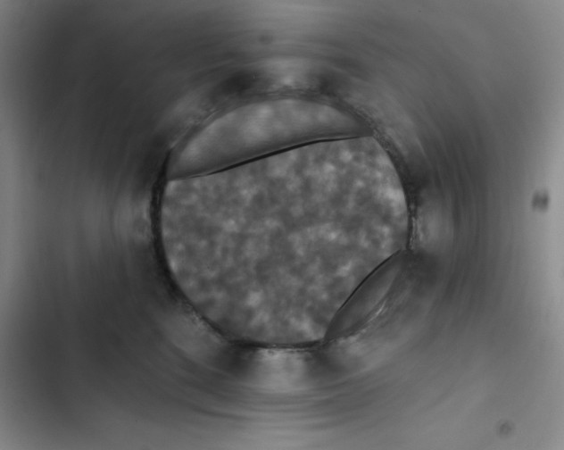 X0000102810520200809150955