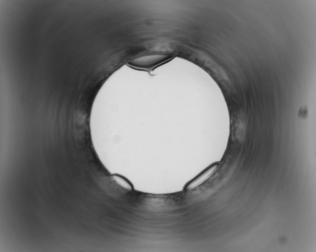 X0000102810521200809150955