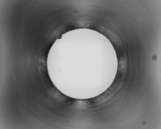 X0000102810522200809150955