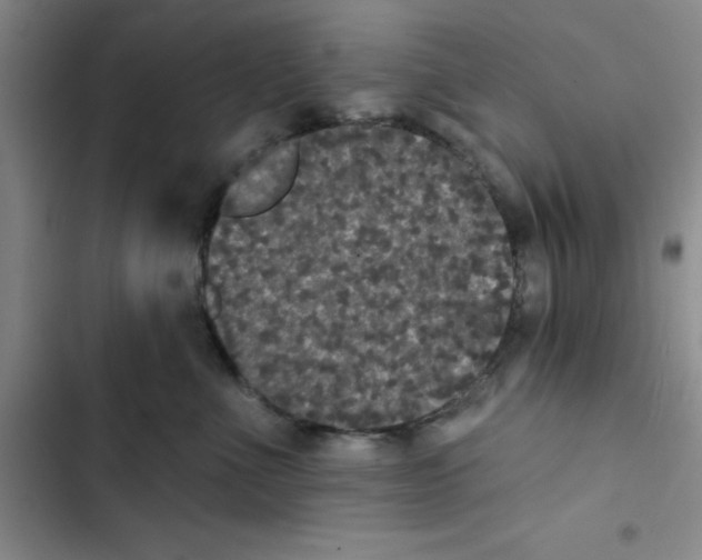 X0000102810523200809150955