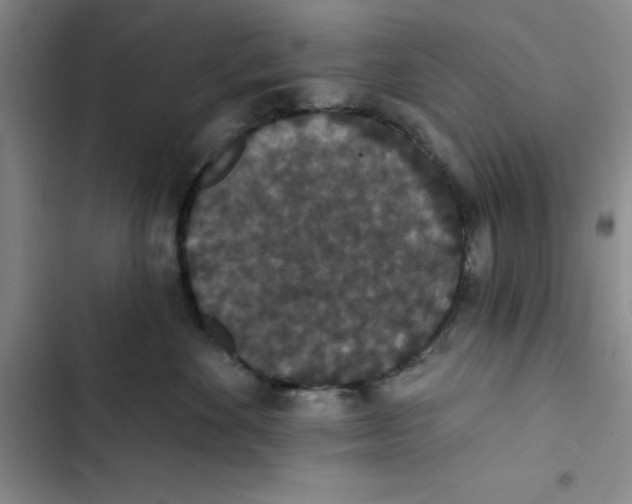 X0000102810524200809150954