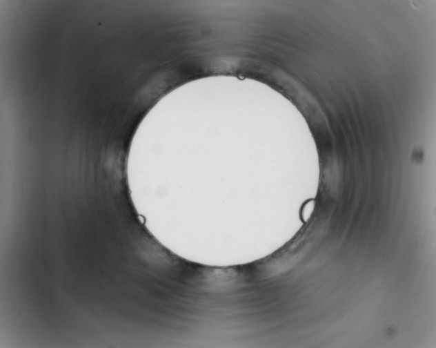 X0000102810525200809150954