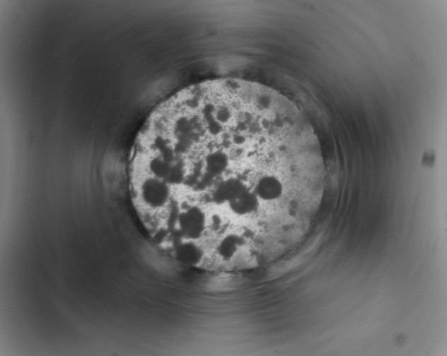 X0000102810527200809150954