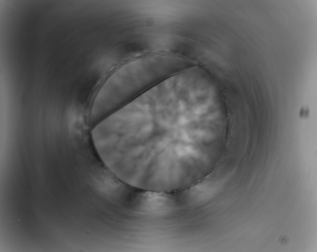 X0000102810528200809150954