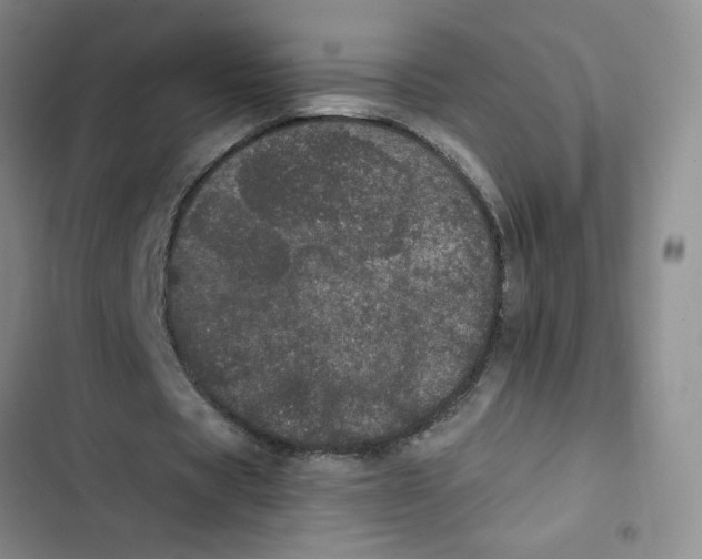 X0000102810529200809150954