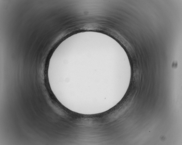 X0000102810530200809150954