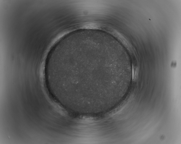 X0000102810531200809150954