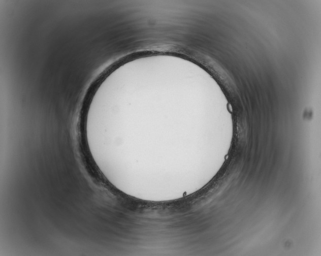 X0000102810532200809150954