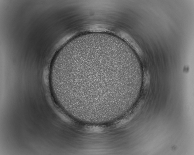 X0000102810533200809150954