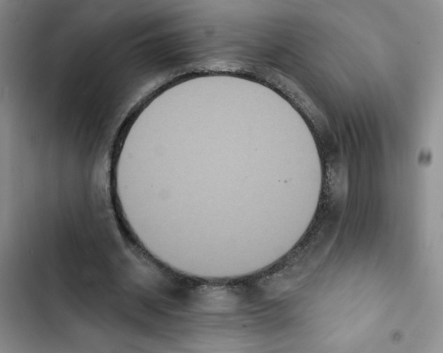 X0000102810534200809150954