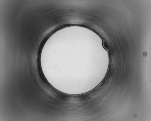 X0000102810535200809150954