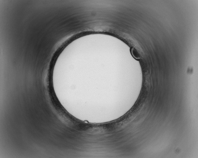 X0000102810536200809150954