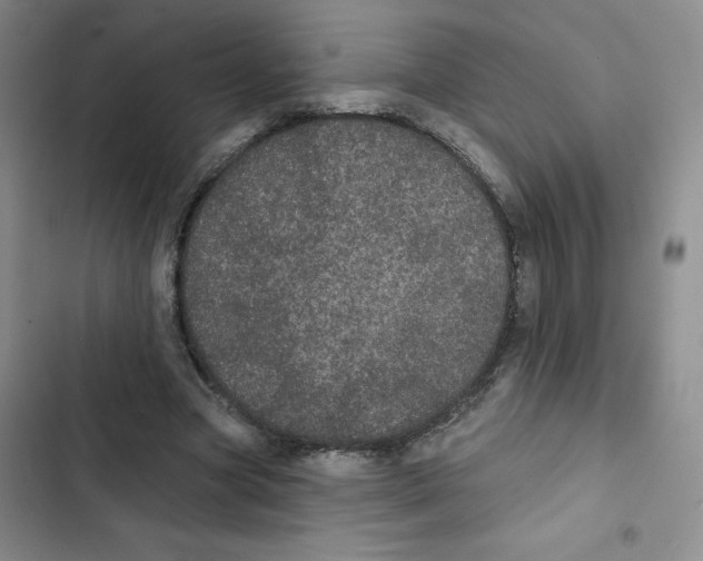 X0000102810537200809150954