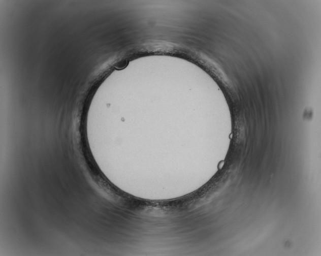 X0000102810538200809150954