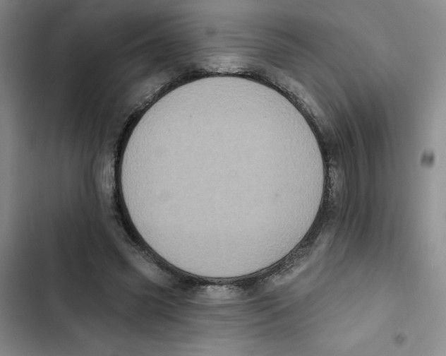 X0000102810541200809150954