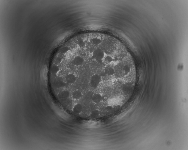 X0000102810542200809150954