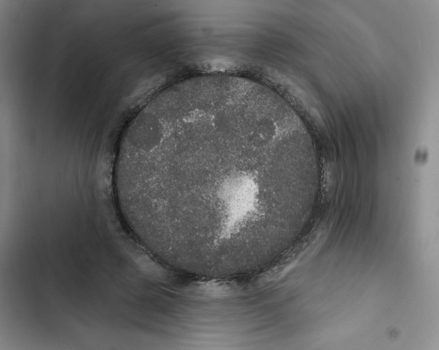 X0000102810545200809150954