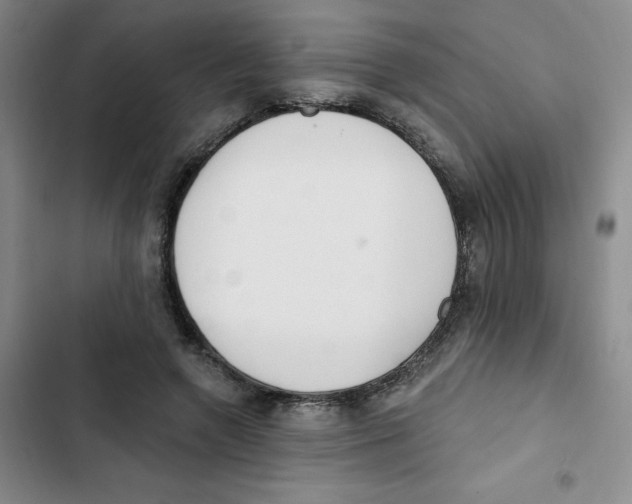 X0000102810546200809150954