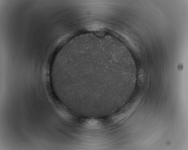 X0000102810547200809150954