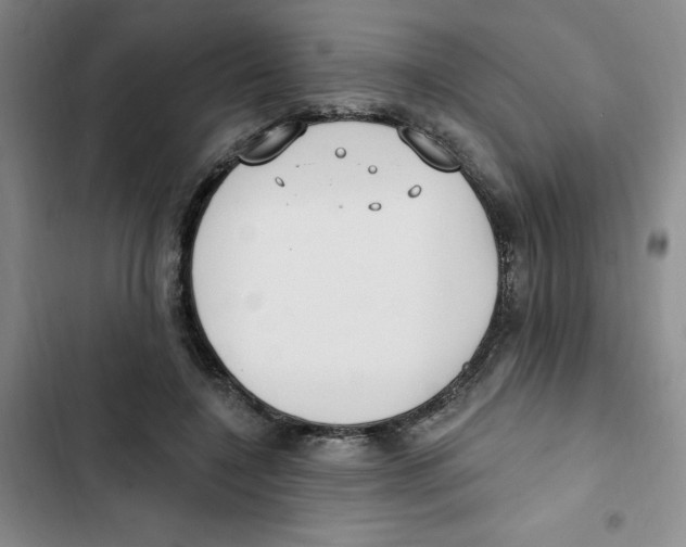 X0000102810548200809150954