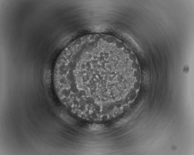 X0000102810549200809150954