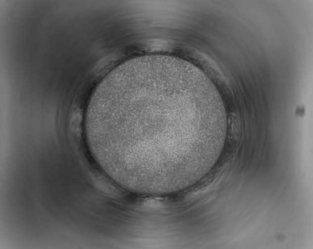 X0000102810550200809150954