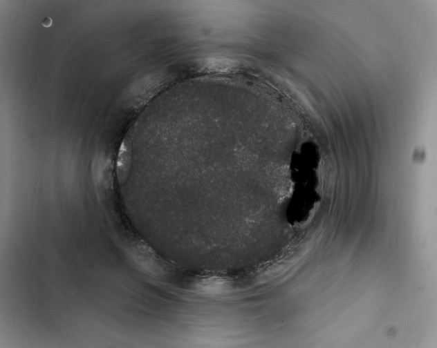 X0000102810551200809150954