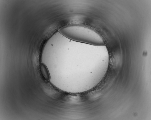 X0000102810552200809150954