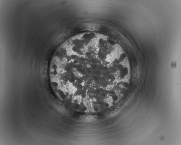 X0000102810553200809150954