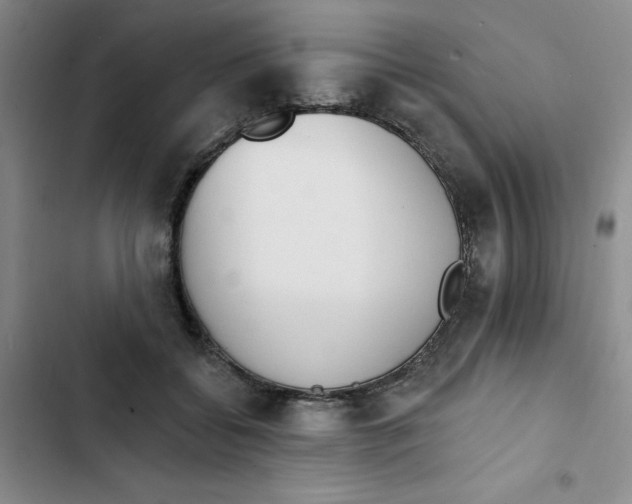 X0000102810556200809150954