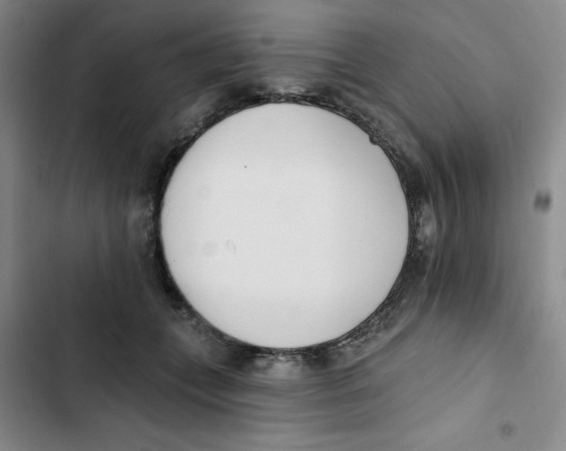 X0000102810559200809150954