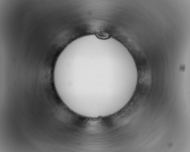 X0000102810560200809150954