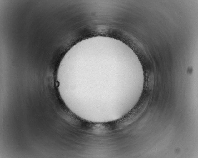 X0000102810562200809150954