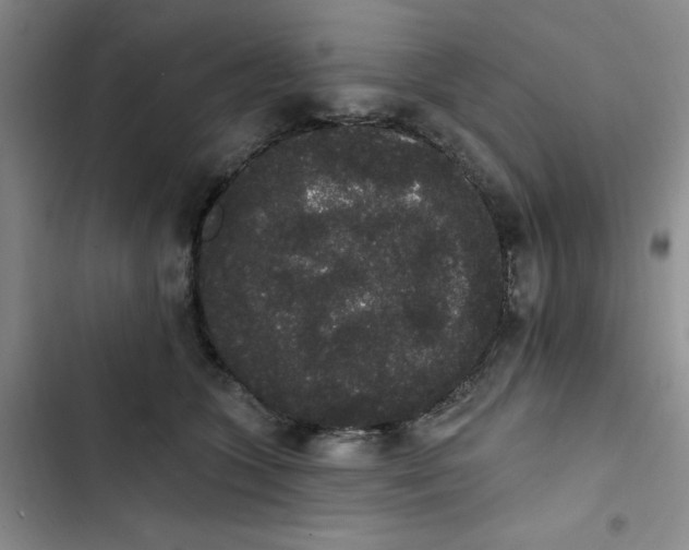 X0000102810563200809150954