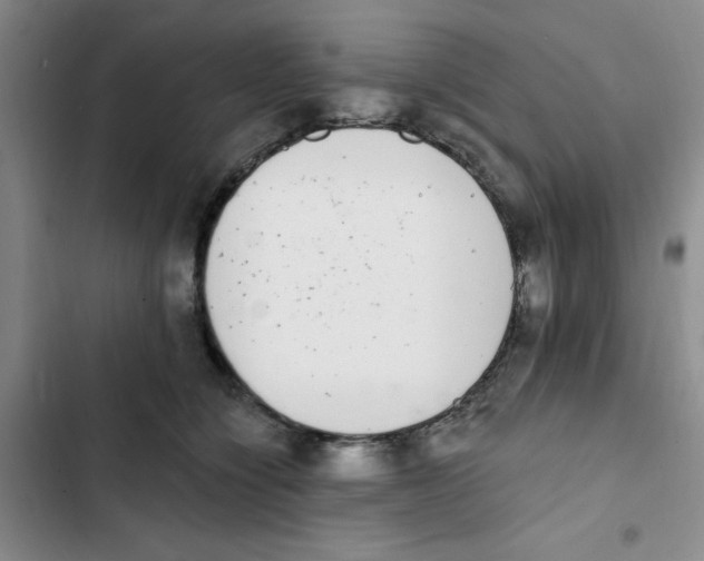 X0000102810564200809150954