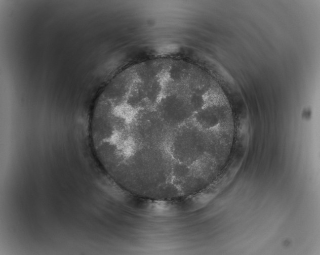 X0000102810565200809150954