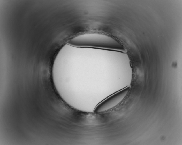 X0000102810566200809150954