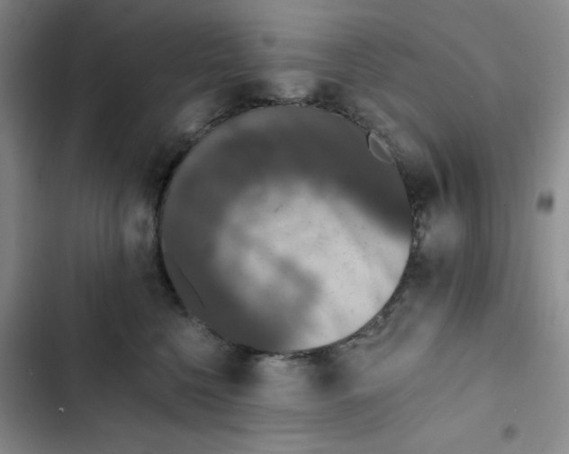 X0000102810568200809150954