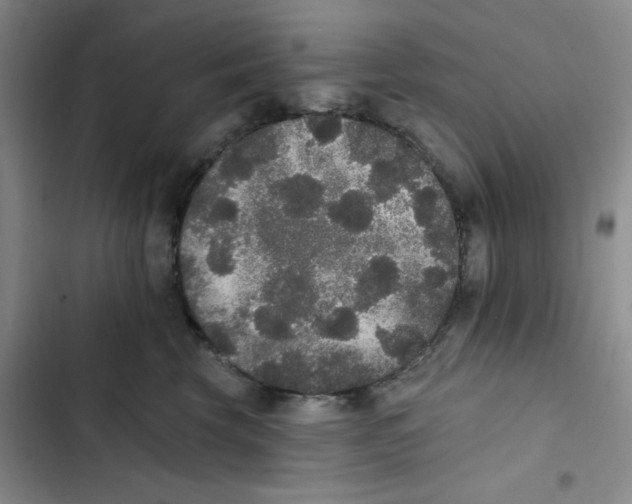 X0000102810569200809150954