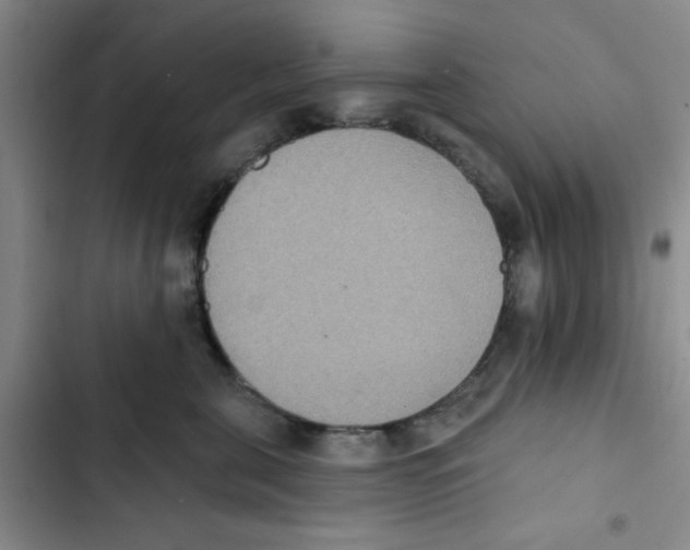 X0000102810571200809150954