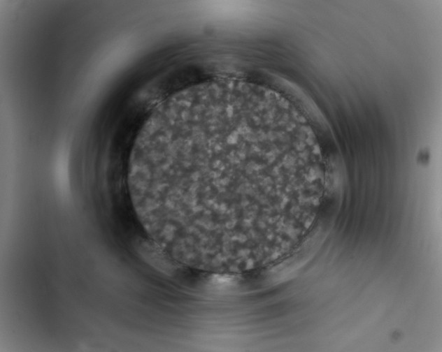 X0000102810573200809150954