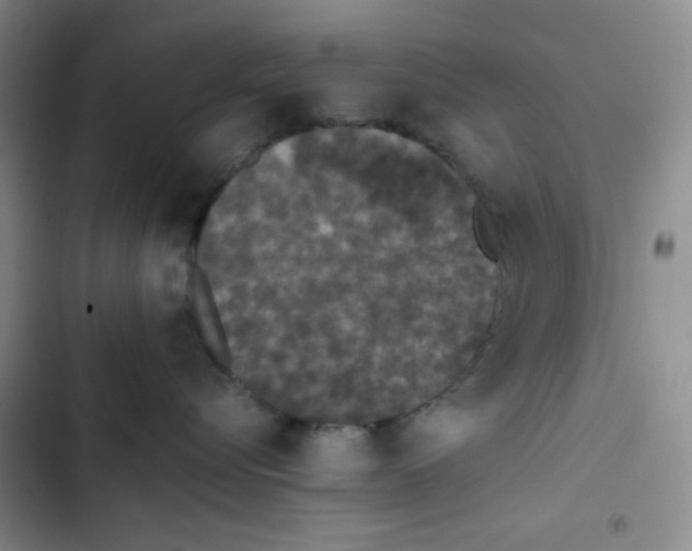 X0000102810576200809150954