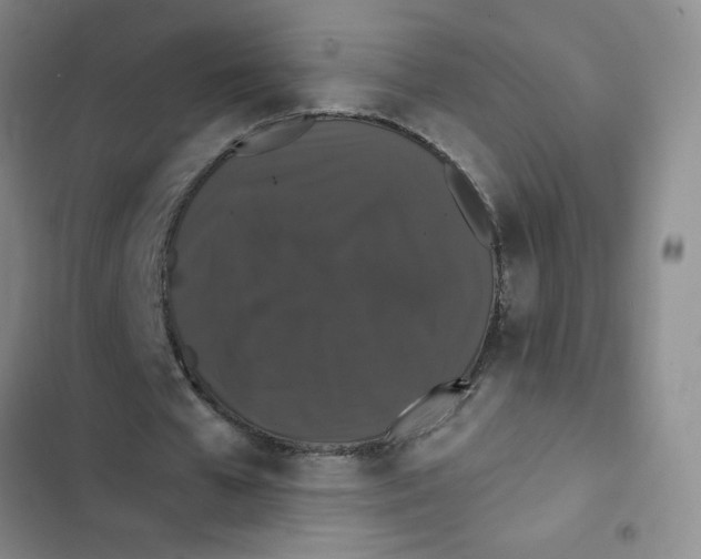 X0000102810577200809150954